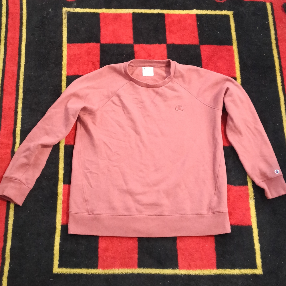 Champion Sweater (M)